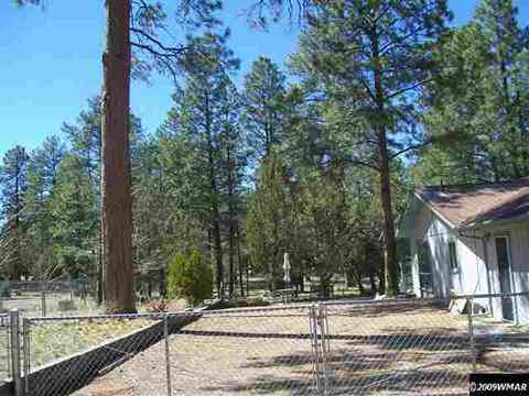 2874 Markham, Overgaard, AZ 85933 photo 6