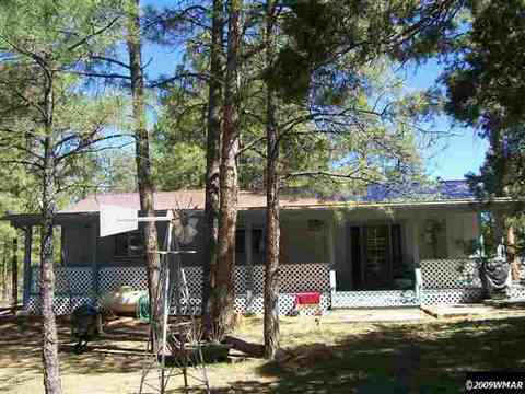 2874 Markham, Overgaard, AZ 85933 photo 8