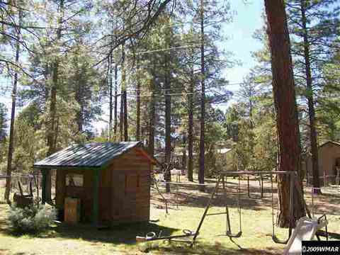 2874 Markham, Overgaard, AZ 85933 photo 7