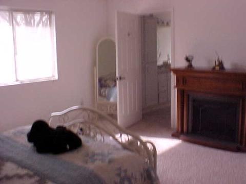 856 E Tori Cir, Springerville, AZ 85938 photo 7