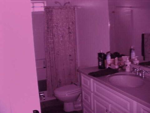 856 E Tori Cir, Springerville, AZ 85938 photo 8