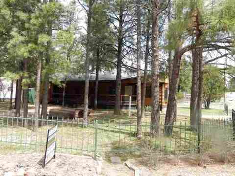 2050 Wilderness Dr, Overgaard, AZ 85933 photo 9