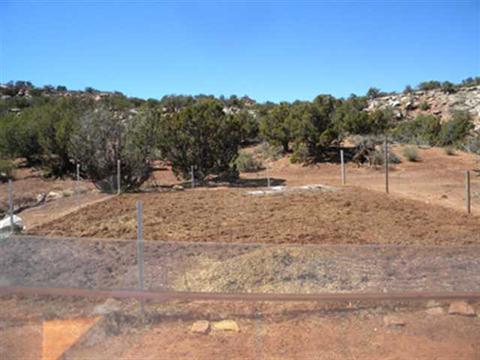 9256 Tonto Rd, Snowflake, AZ 85937 photo 4