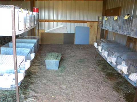9256 Tonto Rd, Snowflake, AZ 85937 photo 6