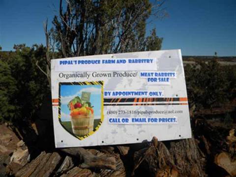 9256 Tonto Rd, Snowflake, AZ 85937 photo 3