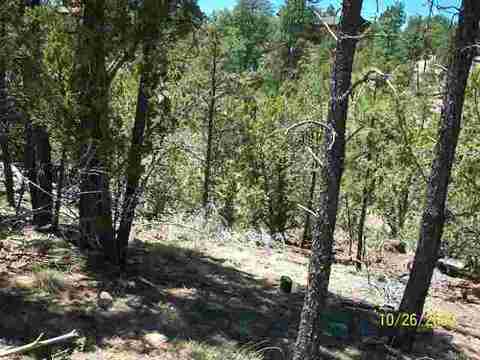 3327 Fall Ct, Heber, AZ 85928 photo 3