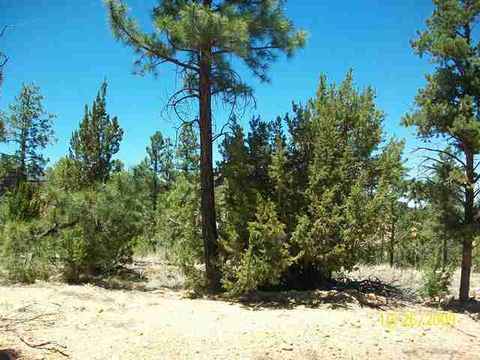 3327 Fall Ct, Heber, AZ 85928 photo 1