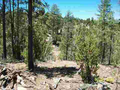 3327 Fall Ct, Heber, AZ 85928 photo 4