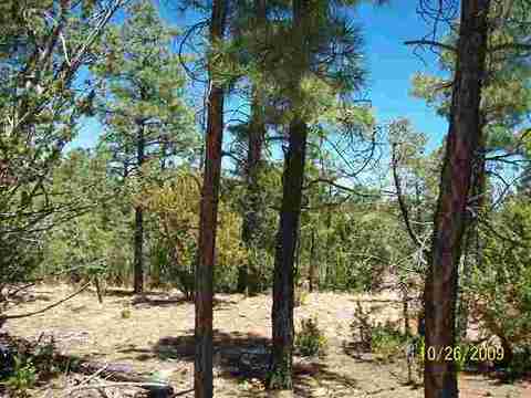 3327 Fall Ct, Heber, AZ 85928 photo 5