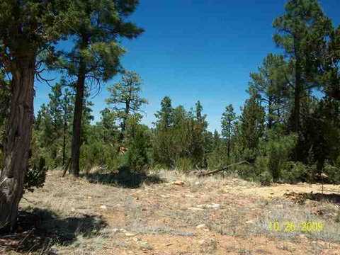 3327 Fall Ct, Heber, AZ 85928 photo 8