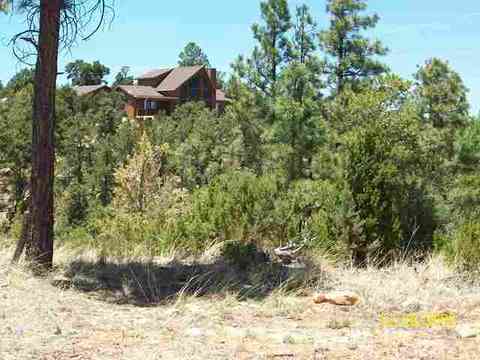 3327 Fall Ct, Heber, AZ 85928 photo 7