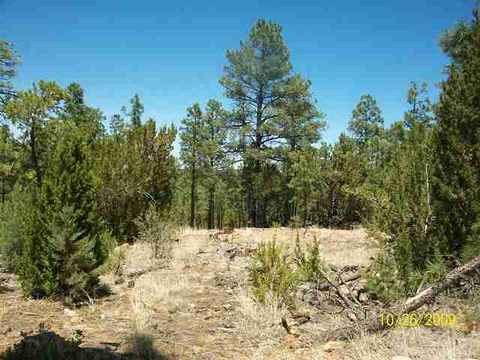 3327 Fall Ct, Heber, AZ 85928 photo 9