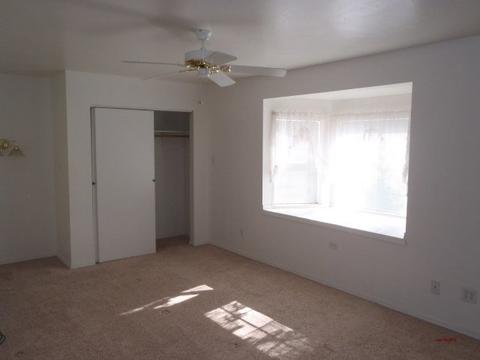 2235 Page Ln, Overgaard, AZ 85933 photo 5