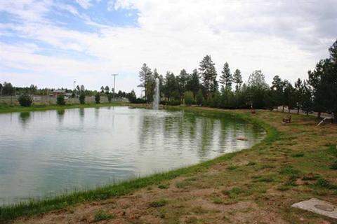 2726 Stagecoach Blvd, Overgaard, AZ 85933 photo 9