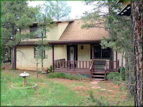3343 Panorama Dr, Overgaard, AZ 85933 photo 1