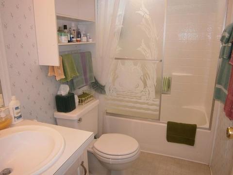 2924 Antelope Trl, Overgaard, AZ 85933 photo 5