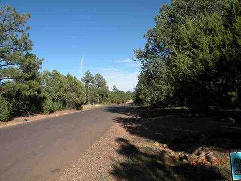 2247 Roundabout, Overgaard, AZ 85933 photo 13