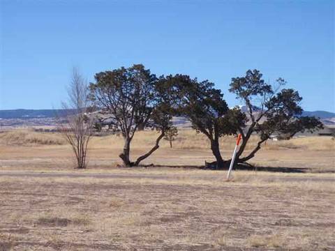 182 N Divot Dr, Eagar, AZ 85925 photo 15