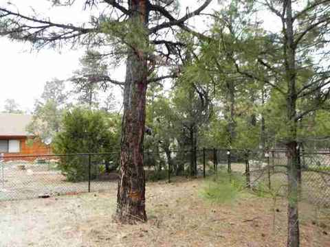 2962 Windmill Cir, Overgaard, AZ 85933 photo 22