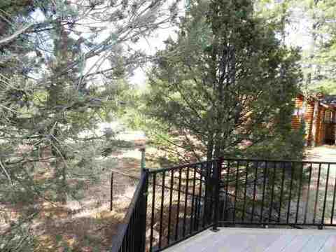 2962 Windmill Cir, Overgaard, AZ 85933 photo 24