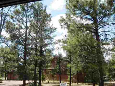2962 Windmill Cir, Overgaard, AZ 85933 photo 26