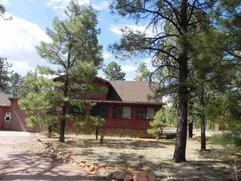 2962 Windmill Cir, Overgaard, AZ 85933 photo 33