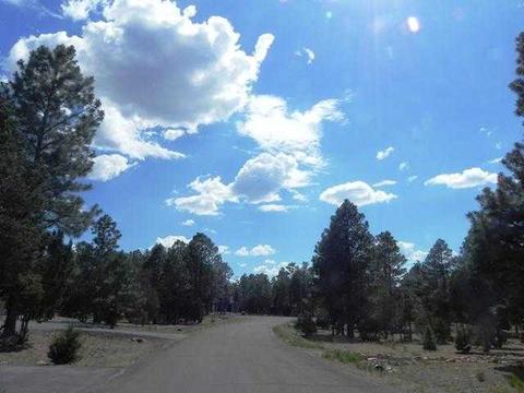 2962 Windmill Cir, Overgaard, AZ 85933 photo 4