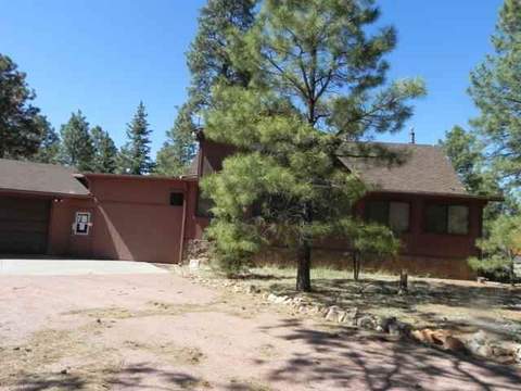 2962 Windmill Cir, Overgaard, AZ 85933 photo 29
