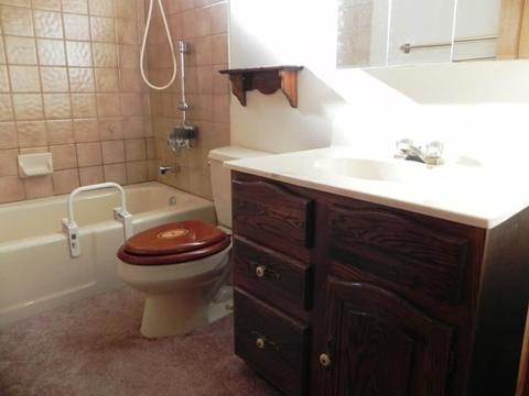 2962 Windmill Cir, Overgaard, AZ 85933 photo 30