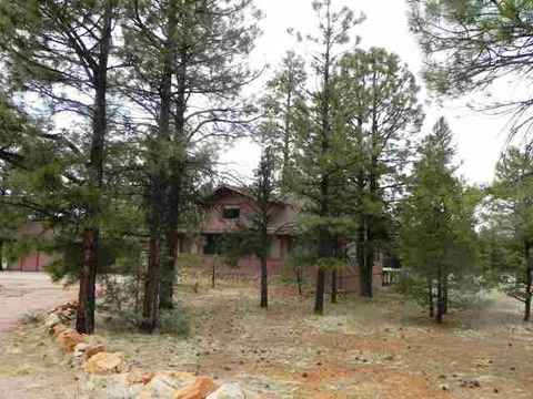 2962 Windmill Cir, Overgaard, AZ 85933 photo 10