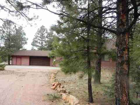 2962 Windmill Cir, Overgaard, AZ 85933 photo 28
