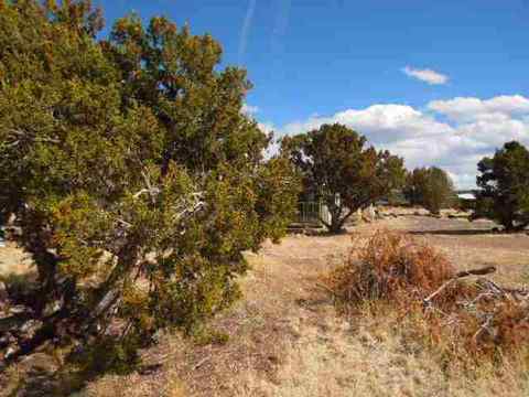 1922 E Crystal Ln, Eagar, AZ 85925 photo 14