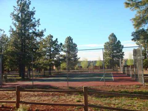2353 Buffalo Loop, Overgaard, AZ 85933 photo 15