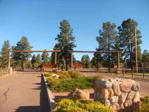2353 Buffalo Loop, Overgaard, AZ 85933 photo 14