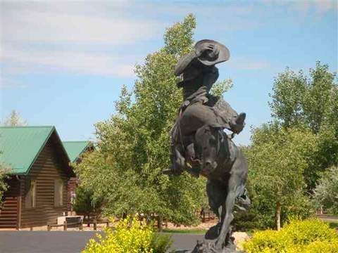 2353 Buffalo Loop, Overgaard, AZ 85933 photo 21
