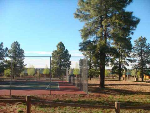 2353 Buffalo Loop, Overgaard, AZ 85933 photo 17