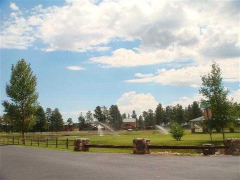 2353 Buffalo Loop, Overgaard, AZ 85933 photo 22