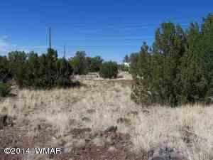 1813 Smith Pl, Show Low, AZ 85901 photo 5