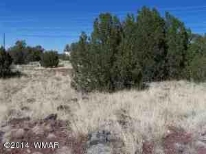 1813 Smith Pl, Show Low, AZ 85901 photo 6
