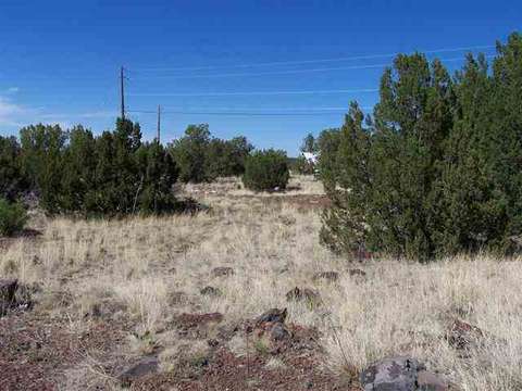 1813 Smith Pl, Show Low, AZ 85901 photo 1