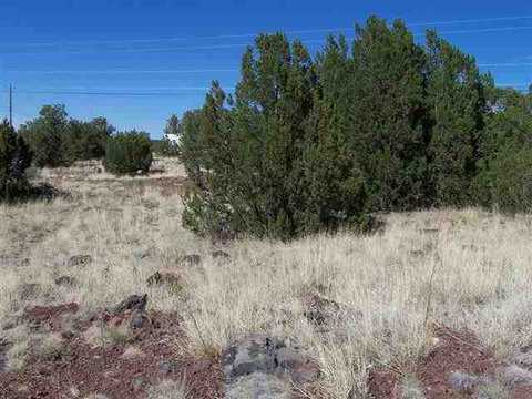 1813 Smith Pl, Show Low, AZ 85901 photo 2
