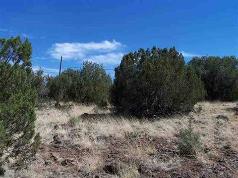 8437 Apache Dr, Show Low, AZ 85901 photo 1