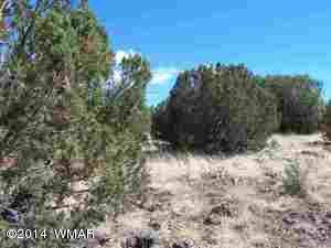8437 Apache Dr, Show Low, AZ 85901 photo 5