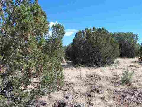 8437 Apache Dr, Show Low, AZ 85901 photo 2