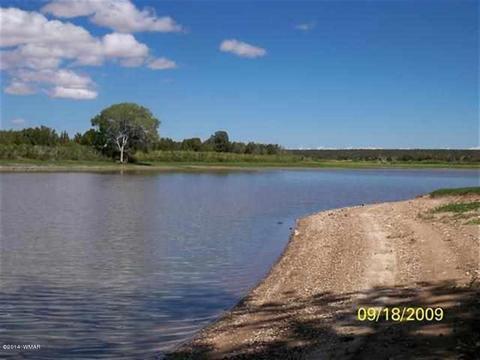 8437 Apache Dr, Show Low, AZ 85901 photo 3
