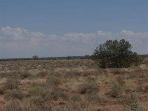 7758 E Old School Bus Rd, Snowflake, AZ 85937 photo 3