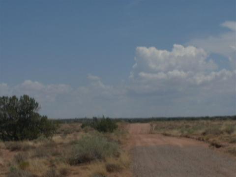 7758 E Old School Bus Rd, Snowflake, AZ 85937 photo 2