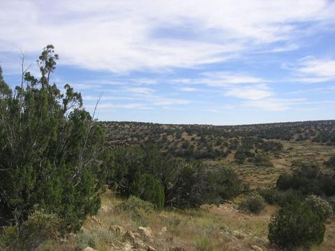 5186 N Eagle Dr, Heber, AZ 85928 photo 2