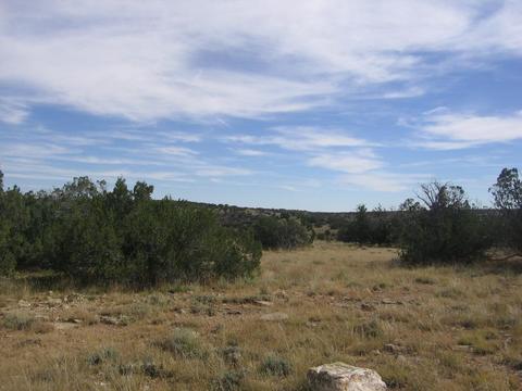5186 N Eagle Dr, Heber, AZ 85928 photo 6