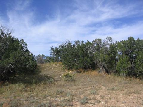 5186 N Eagle Dr, Heber, AZ 85928 photo 4